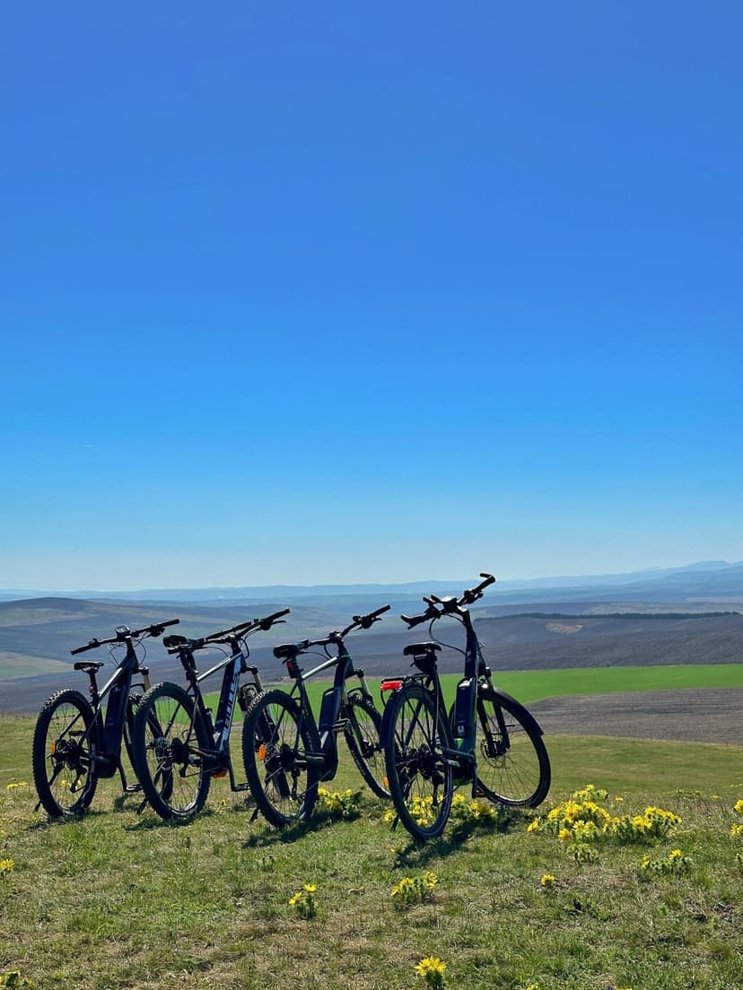 Activități pentru familii