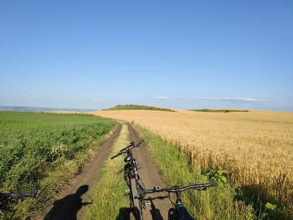 Activități în aer liber