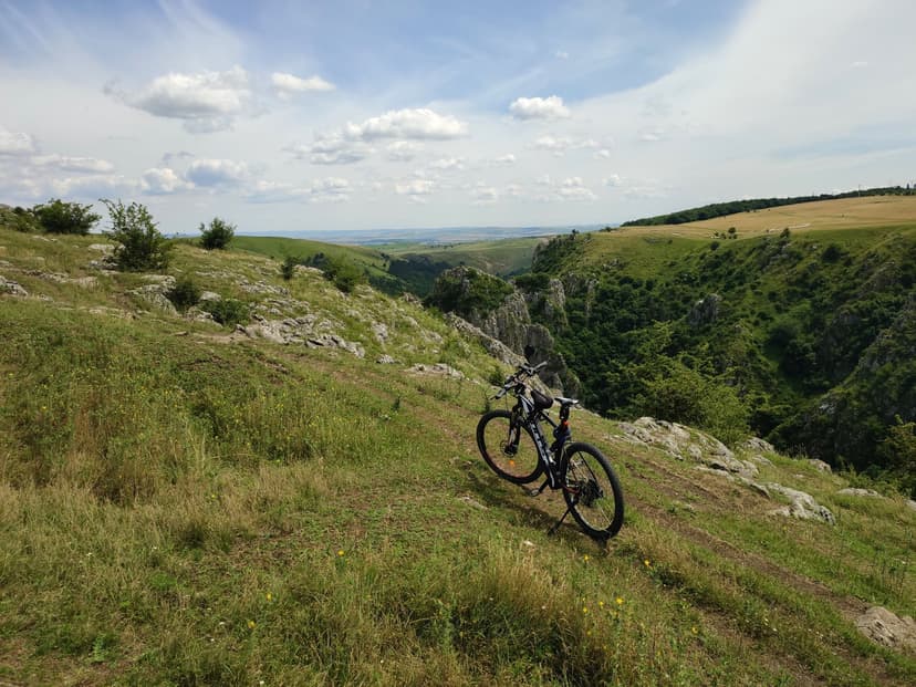 Grupuri de cicliști